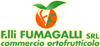 Scheda Azienda F. LLI FUMAGALLI srl