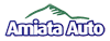 Company Sheet AMIATA AUTO srl