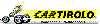 Scheda Azienda CARTIROLO srl