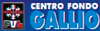 Company Sheet CENTRO FONDO GALLIO snc