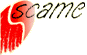 Company Sheet SCAME FORNI INDUSTRIALI spa