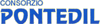 Company Sheet CONSORZIO PONTEDIL