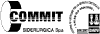 Company Sheet COMMIT SIDERURGICA spa