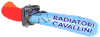Scheda Azienda CAVALLINI RADIATORI snc