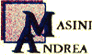Company Sheet MASINI ANDREA