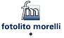 Scheda Azienda MORELLI MARCO