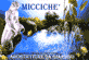Fiche Entreprise MICCICHÈ snc