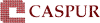 Scheda Azienda CASPUR