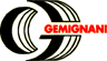 Scheda Azienda F.LLI GEMIGNANI & C. snc