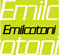 Scheda Azienda EMILCOTONI spa