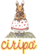 Scheda Azienda CIRIPA' MA.LI. srl