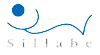 Scheda Azienda SILLABE srl