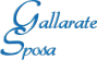 Company Sheet GALLARATE SPOSA srl