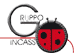 Scheda Azienda GRUPPO INCASSO