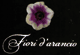 Scheda Azienda FIORI D'ARANCIO