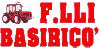 Ficha Empresa BASIRICO' F.LLI snc