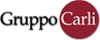 Company Sheet GRUPPO CARLI - PARTECIPAZIONI spa