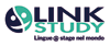 Scheda Azienda LINK STUDY di FREDERICK IRENE