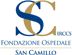 Company Sheet FONDAZIONE OSPEDALE SAN CAMILLO/I.R.C.C.S.