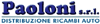 Company Sheet PAOLONI srl