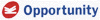 Company Sheet OPPORTUNITY spa