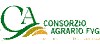 Scheda Azienda CONSORZIO AGRARIO DEL FRIULI VENEZIA GIULIA CONSORZIO AGRARIO DEL FRIULI VENEZIA GIULIA SOC. COOP. A R.L.