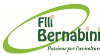 Company Sheet FRATELLI BERNABINI srl