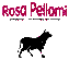 Company Sheet ROSA PELLAMI srl