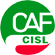 Scheda Azienda CAF - CISL SIMAL srl