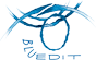 Company Sheet BLUEDIT SERVIZI