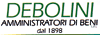 Scheda Azienda DEBOLINI AMMINISTRATORI DI BENI srl