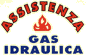 Company Sheet ASSISTENZA GAS IDRAULICA di CAPUTO GIOVANNI