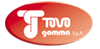 Scheda Azienda TOVO GOMMA spa