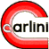 Scheda Azienda CARLINI srl