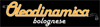 Company Sheet OLEODINAMICA BOLOGNESE srl