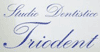 Company Sheet TRIODENT snc di GIANNATEMPO DAVIDE & C.