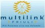 Company Sheet MULTILINK FRIULI srl