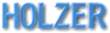Firmeninfo HOLZER sas