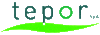 Scheda Azienda TEPOR spa