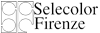 Ficha Empresa SELECOLOR FIRENZE srl