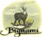 Scheda Azienda BIGNAMI spa
