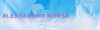 Company Sheet NORSA ALESSANDRO