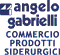 Company Sheet ANGELO GABRIELLI srl