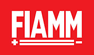 Company Sheet F.I.A.M.M. spa
