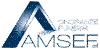 Company Sheet AMSEF srl