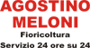 Company Sheet AGOSTINO MELONI srl
