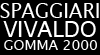 Scheda Azienda GOMMA 2000 di SPAGGIARI VIVALDO srl