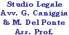 Scheda Azienda STUDIO LEGALE AVV. G. CANIGGIA & M. di DEL PONTE ASS. PROF.
