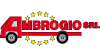 Firmeninfo CARROZZERIA VEICOLI INDUSTRIALI AMBROGIO srl