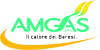 Scheda Azienda AMGAS srl